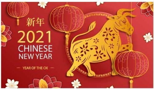 河南盛順凱新型建筑材料有限公司祝大家新年快樂，牛年更比一年牛！